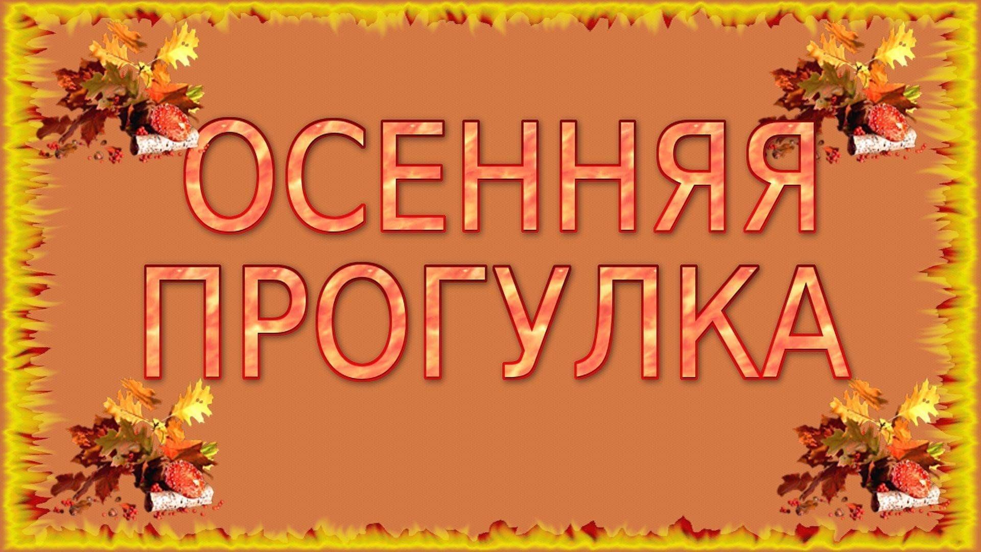 Прогулка &amp;quot;В сумерках ноября&amp;quot;.