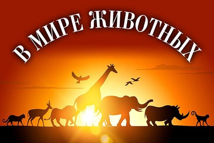 Клуб выходного дня. "В мире животных".